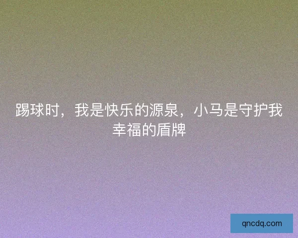踢球时,我是快乐的源泉,小马是守护我幸福的盾牌 踢球时,我是快乐的源泉,小马是守护我幸福的盾牌
