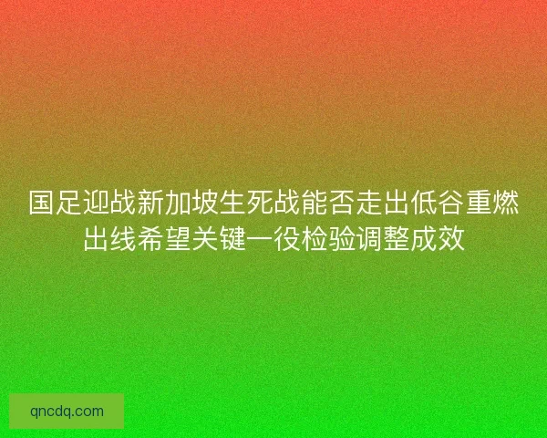 国足迎战新加坡生死战能否走出低谷重燃出线希望关键一役检验调整成效