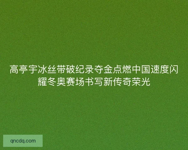 高亭宇冰丝带破纪录夺金点燃中国速度闪耀冬奥赛场书写新传奇荣光