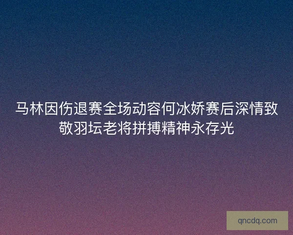 马林因伤退赛全场动容何冰娇赛后深情致敬羽坛老将拼搏精神永存光