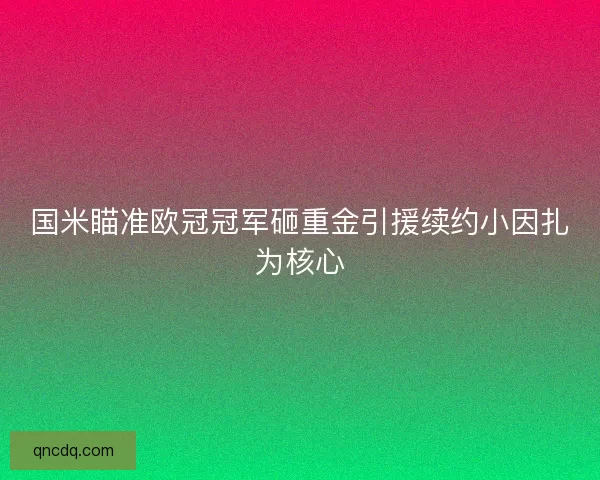 国米瞄准欧冠冠军砸重金引援续约小因扎为核心 国米瞄准欧冠冠军砸重金引援续约小因扎为核心